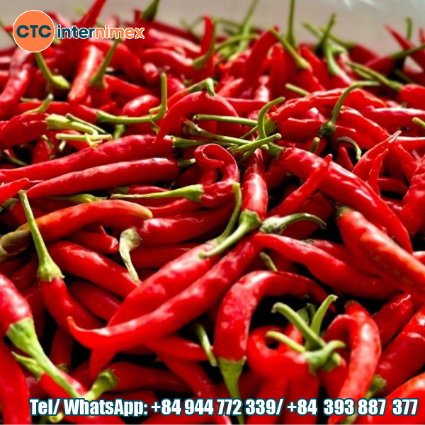 Vietnam Chili Exports: Fresh, Powdered & Processed Products
